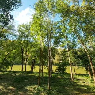 Kentucky River at back of property