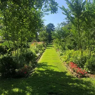 Liberty Hall gardens