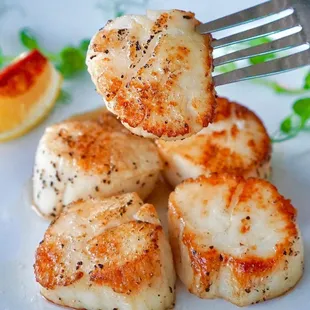 scallops