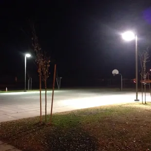 Working on my scholarship!