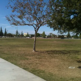 Large grassy area to the North