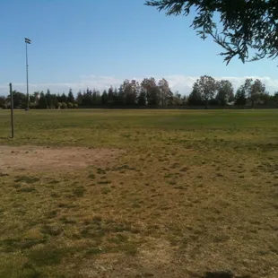 Large grassy area to the South