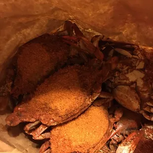 bbq chicken, poultry, chicken wings and fried chicken, chicken, chicken wings, fried chicken, food, fried chicken wings, bbq wings