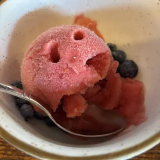 Seasonal Sorbet