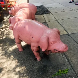two pink pigs on a sidewalk