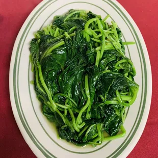 oysters and mussels, food, mussels, oysters, shellfish