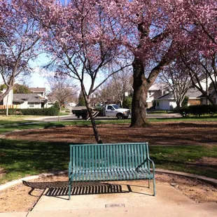 Bench