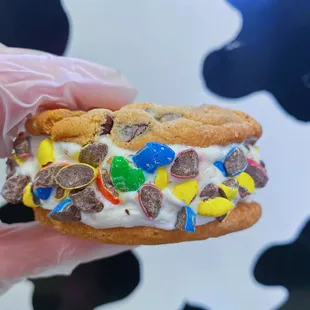 Ice cream cookie sammie with vanilla topped in M&amp;M