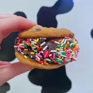 Ice cream cookie sammie with chocolate topped in sprinkles