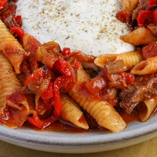 GARGANELLI / Handmade Pasta / Oxtail Ragu / Peperonata / Horseradish