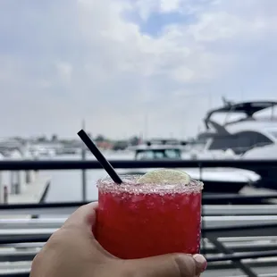 Hibiscus margarita