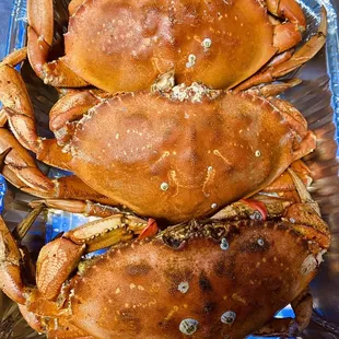 Boiled dungeon crabs
