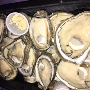 Fresh oysters