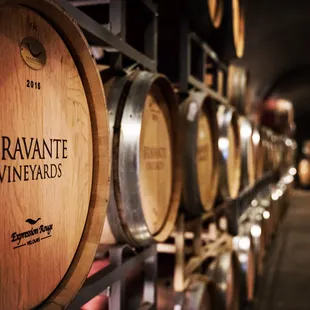 barrels in a wine cellar