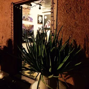 Lots of rooms for local artists