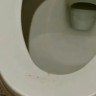 Toilet seat was wet with bodily fluids
