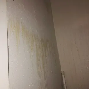 Mold in closet