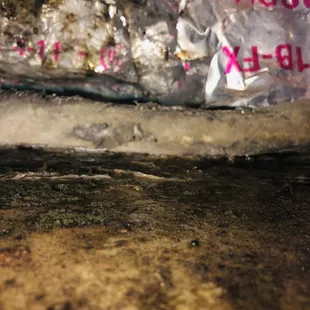 Mold on ac blowing throughout entire condo