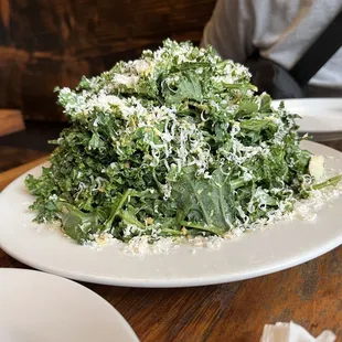 Arugula Salad