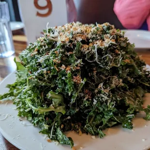 Kale and Arugula Salad