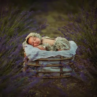 Fairy Baby in the field!