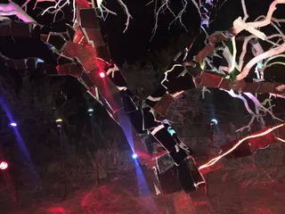 GLOW!