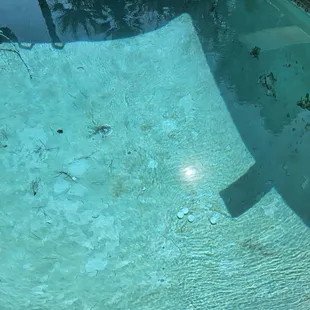 This is what they leave after they do call cleaning.