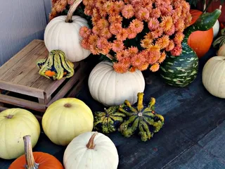 The Dream Restaurant