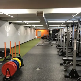 Lifestyle Fitness Health & Wellness