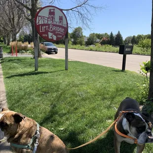 Our dogs and the brewery sign