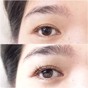 Lash Lift