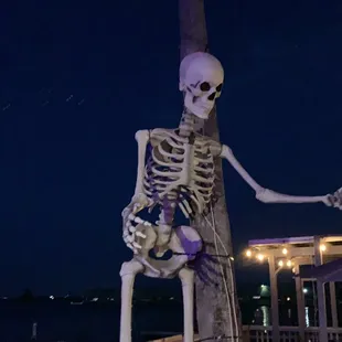 Cool HUGE skeleton