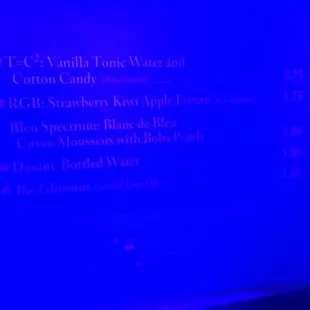 Menu (intentionally hard to see...Disney thinks of everything)