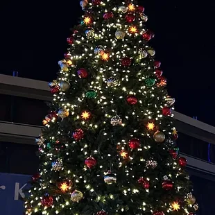 Christmas Tree