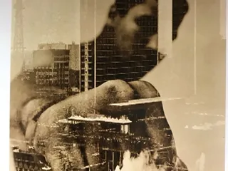 Awesome Opossum Gifts