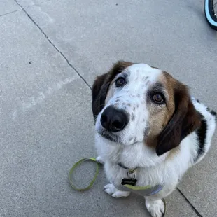 Leroy loves Lighthouse Bagels!