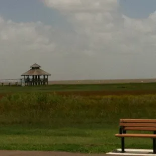 bird watching area