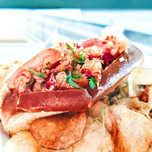 Lobster Roll
