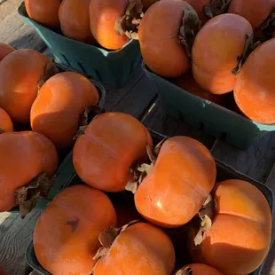 Persimmons