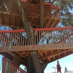 Tree house sooo cool!