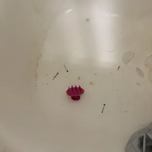 Screws they left in the bathtub