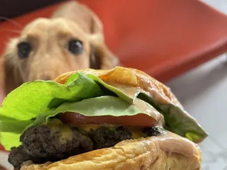 Honolulu Burger Company - Kaimuki