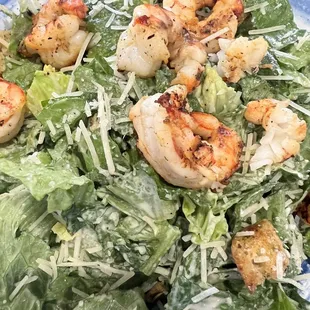 Shrimp Caesar Salad