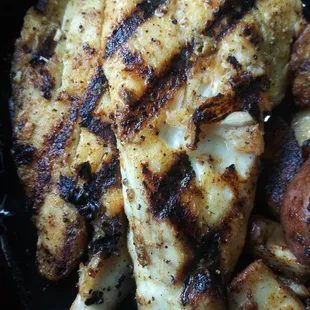 Grilled Grouper
