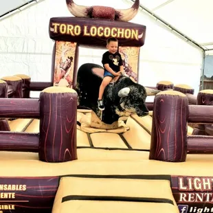 Mechanical bull for all ages