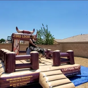 Mechanical bull  aka crazy bull
