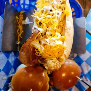 Bird dog and sliders