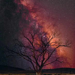 Peter Lik - Stargazer