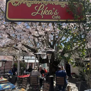 Entry into the café under the beautiful tree.