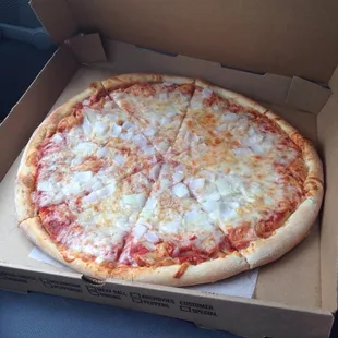 One large onion pizza. Delicious!